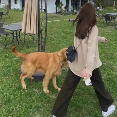 阿七遨游记